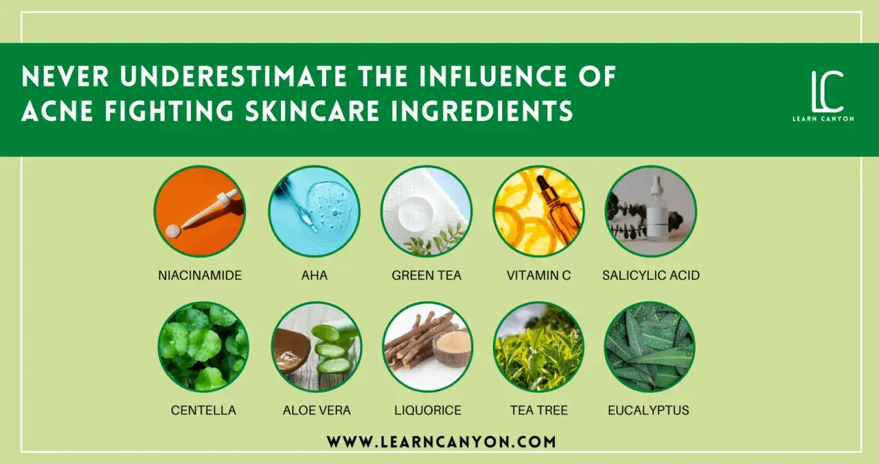 Składniki, które pomogą Ci pozbyć się trądziku: niacynamid, AHA, zielona herbata, witamina C, kwas salicylowy, centella, aloes, lukrecja, drzewo herbaciane, eukaliptus.